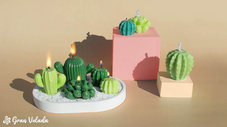 Cómo hacer centros de mesa con cactus y velas 1