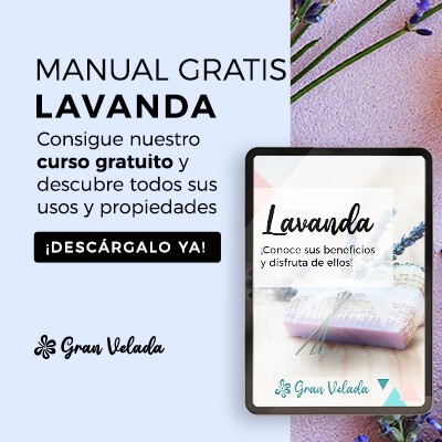 banner manual lavanda copia