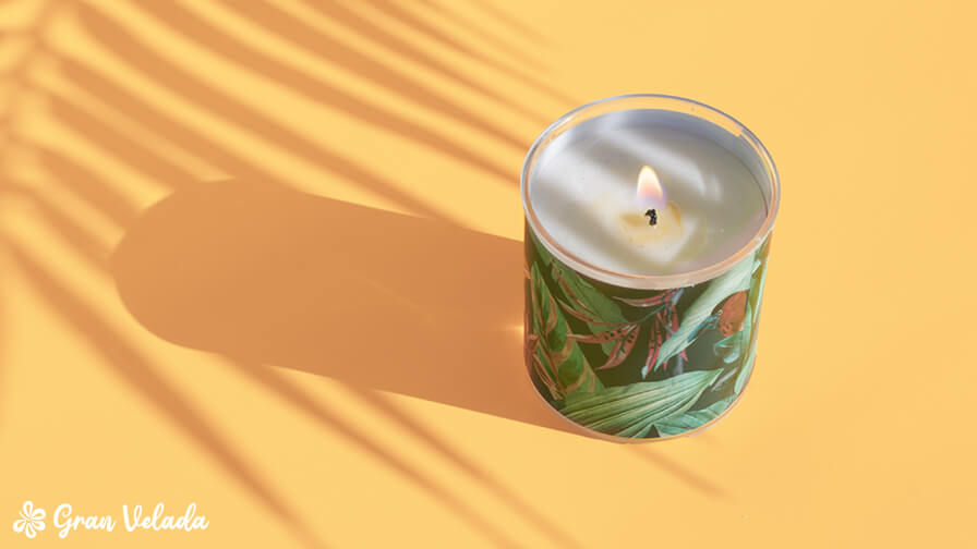 velas jungla 6